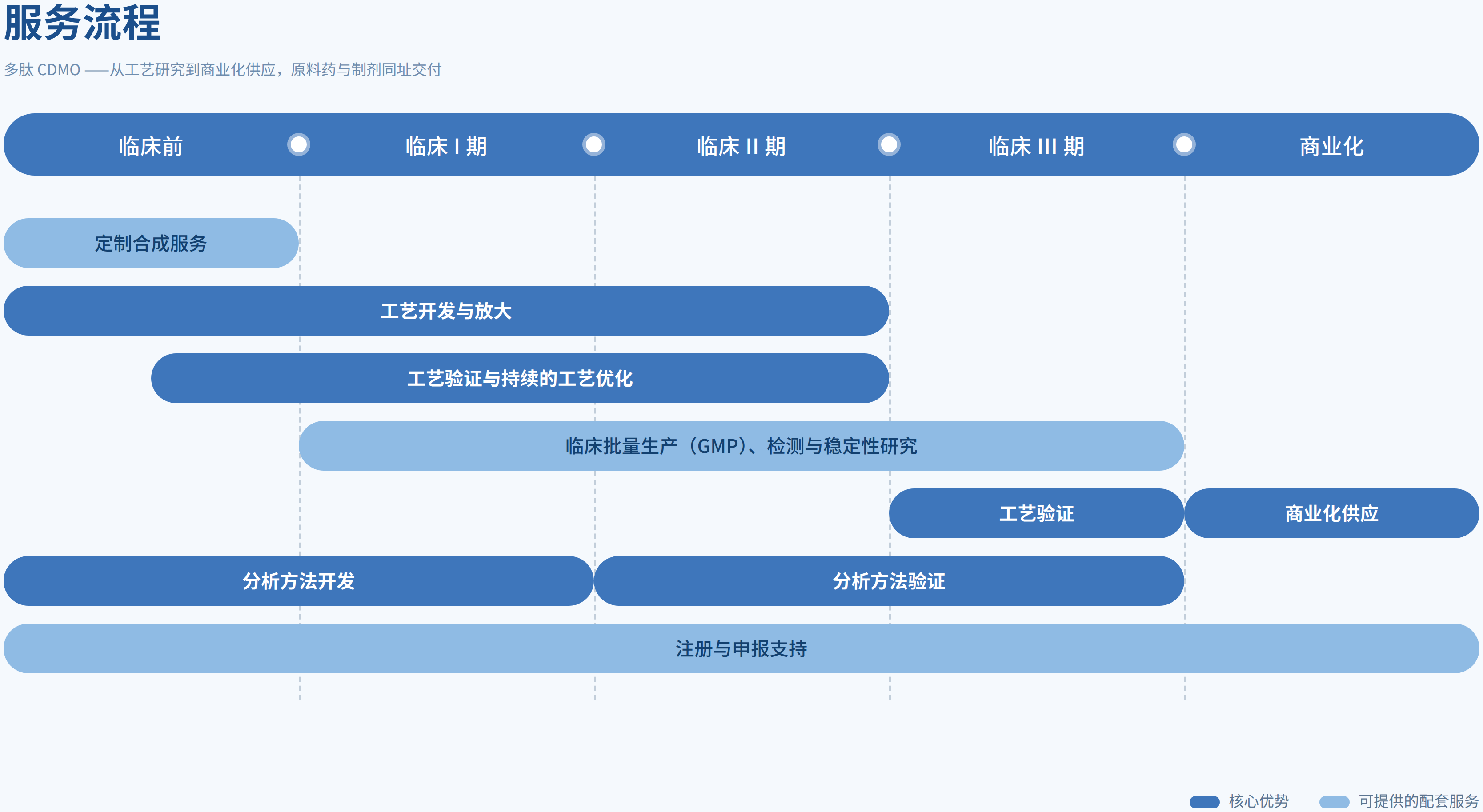CRO&CDMO 多肽 CDMO 服务流程